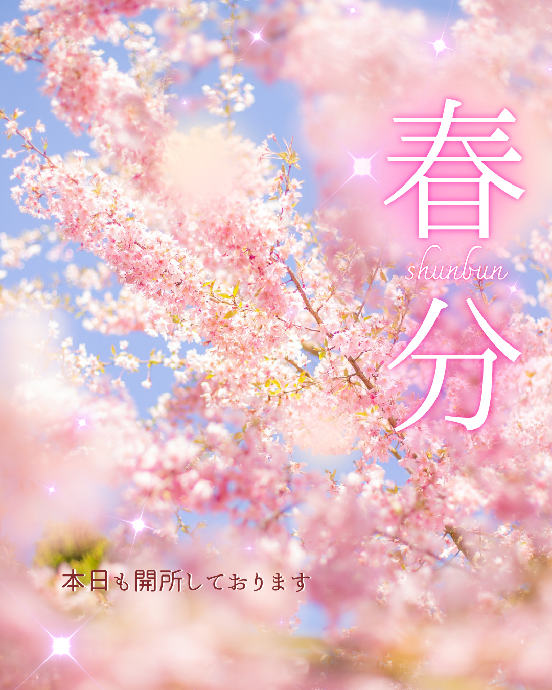 本日祝日も開所しております🌸✨