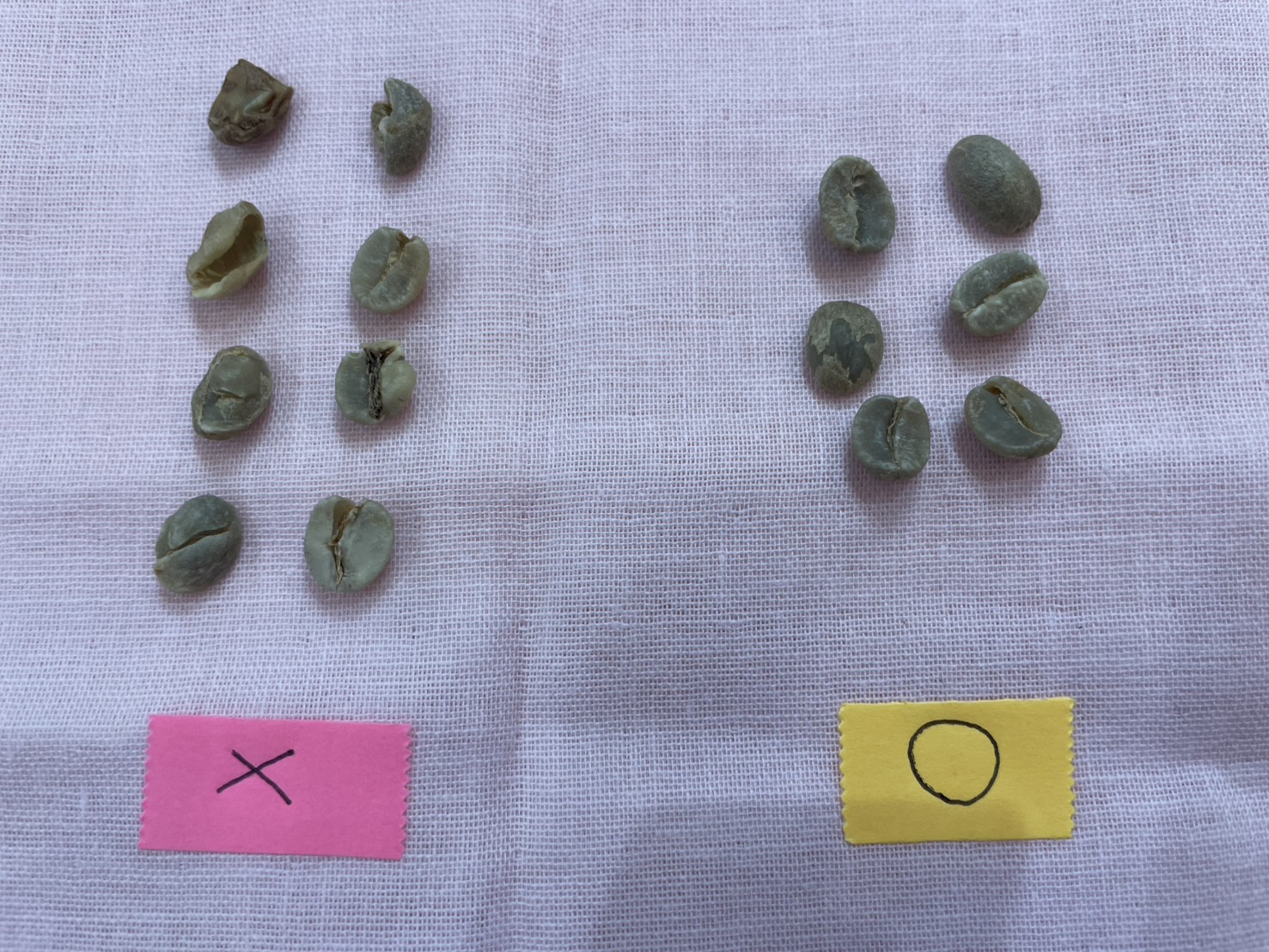 3/12 ハンドピック！