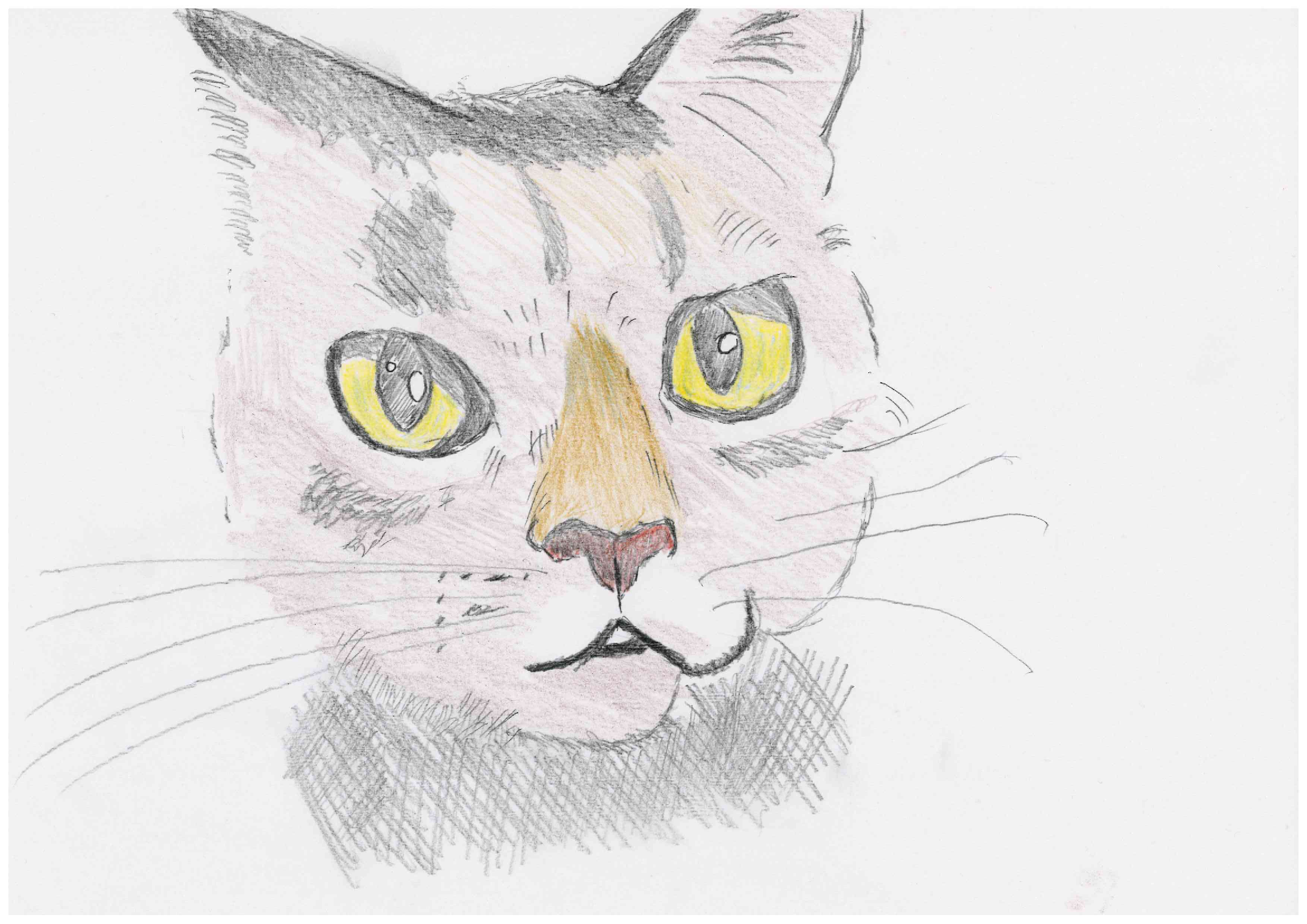 にじげん新金岡 作品6