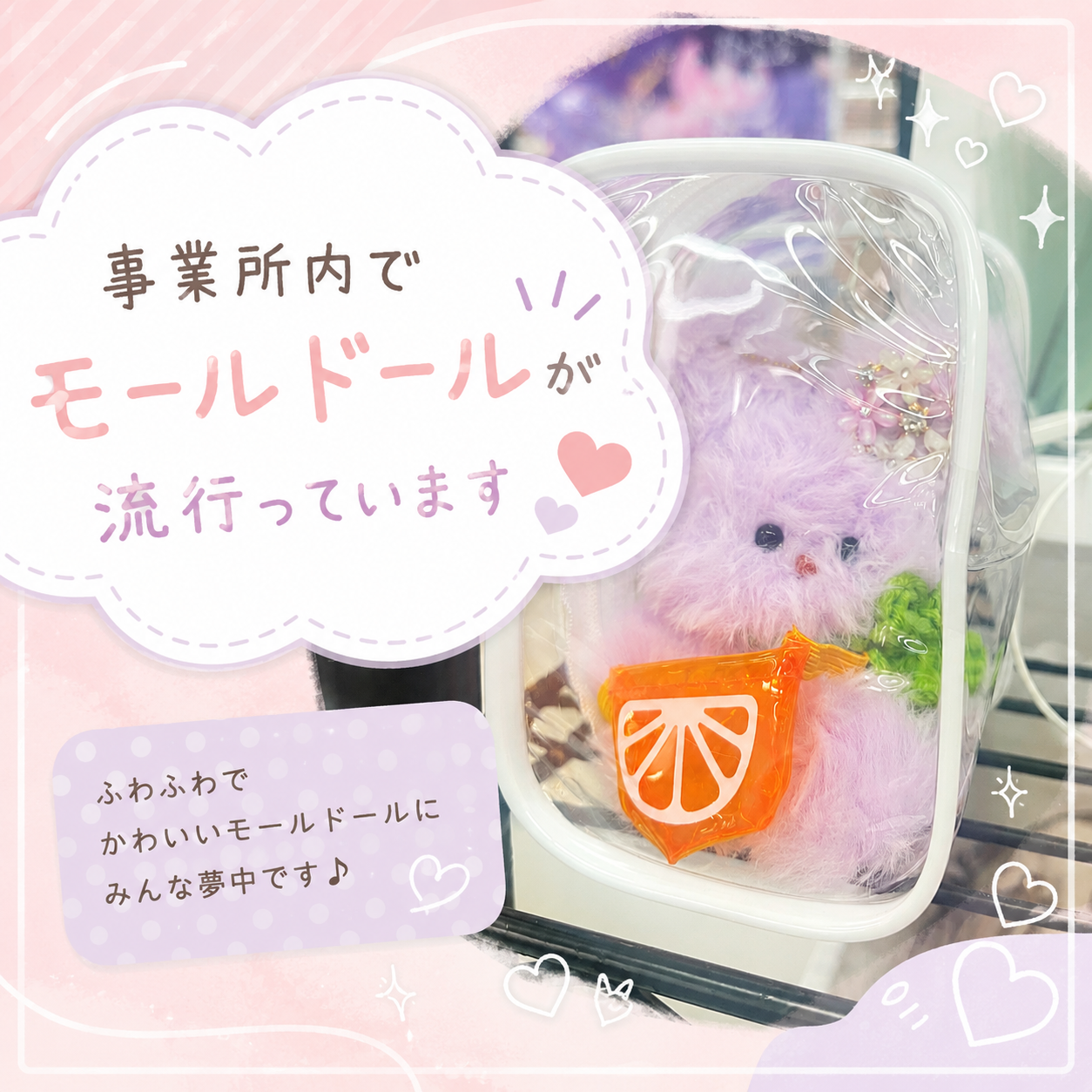 モールドール🐰