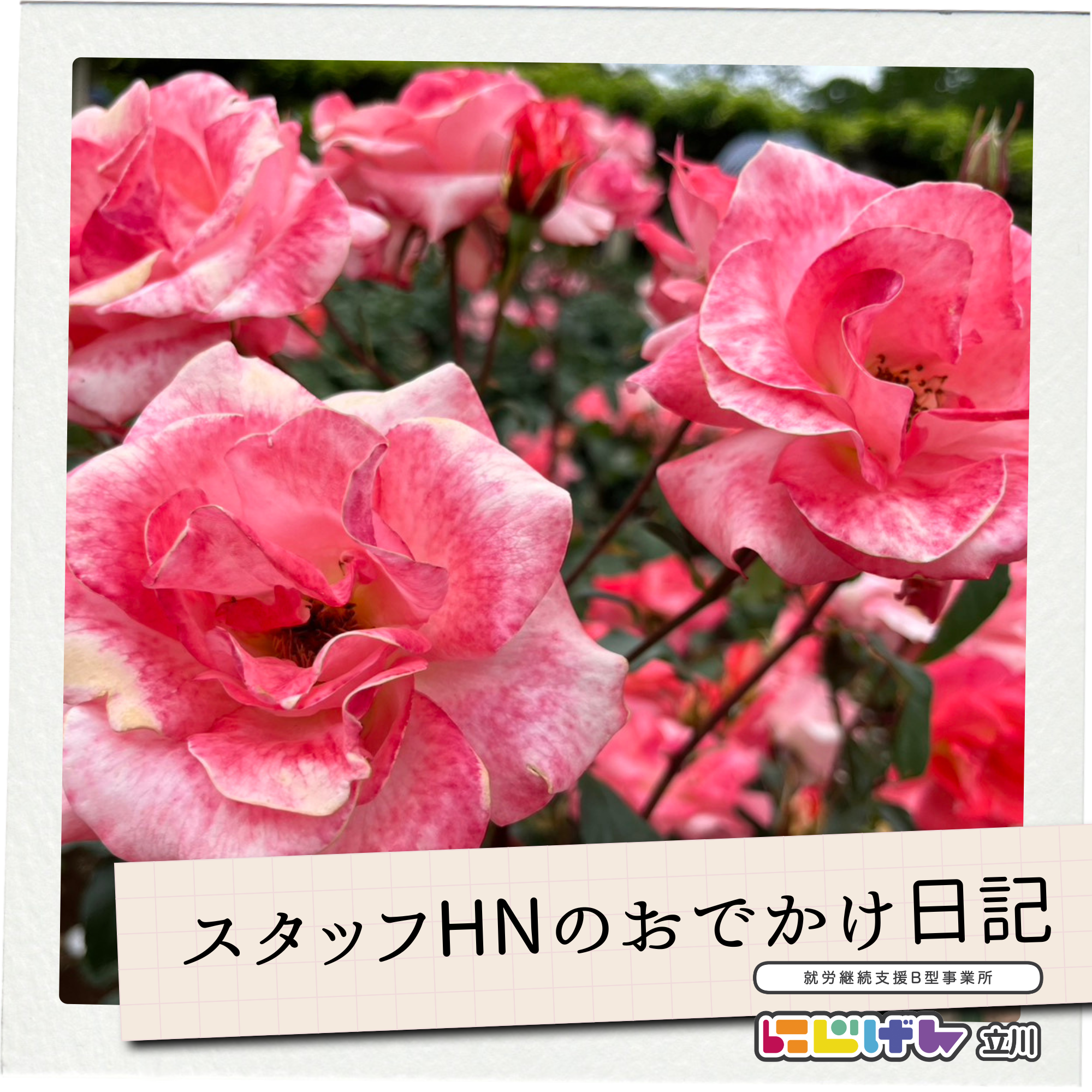 🌹スタッフHNのおでかけ日記～神代植物公園　春のバラフェスタ　編～🌸