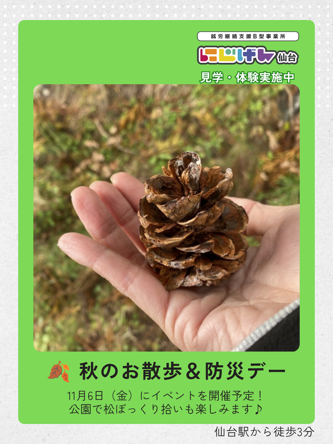 秋のお散歩と避難訓練を実施します！