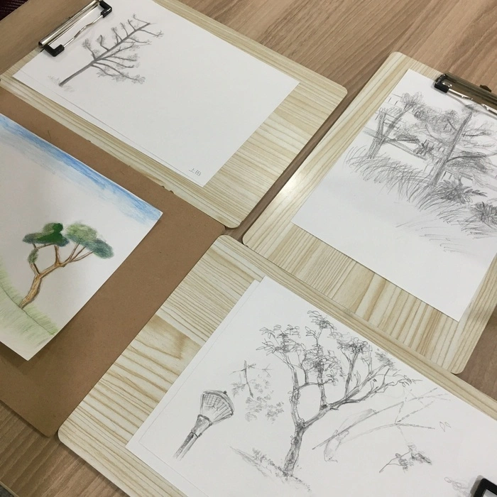🎨🌳 外出スケッチイベントを開催しました！
